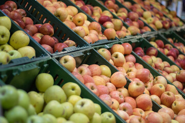 Plastic boxes with apples in the store.