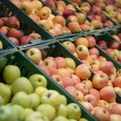 Plastic boxes with apples in the store.