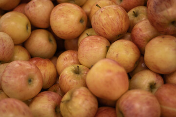 Ripe apples. Photo on the theme of fruit.