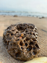 Beach small rock, Close-up shot