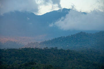 Fog on mountain top in Borneo, Sarawak, Malaysia - 365031131