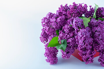  A bouquet of lilac flowers.