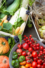 fresh vegetables in wooden boxes, homegrown food, agriculture