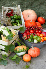 fresh vegetables in wooden boxes, homegrown food, agriculture