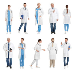 Collage with photos of doctors on white background