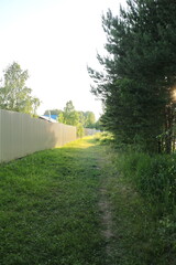 Mown grass and path in summer in the village
