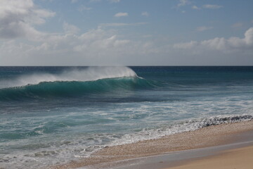 Surfers in Hawaii landscape 2009