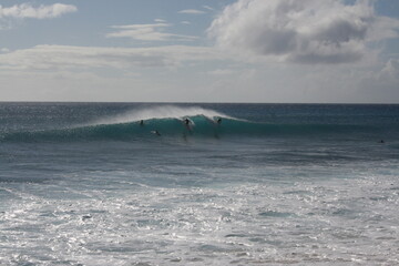 Surfers in Hawaii landscape 2009