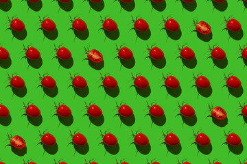 Pattern of Bulgarian sweet peppers, cherry tomatoes and cucumbers on a green background