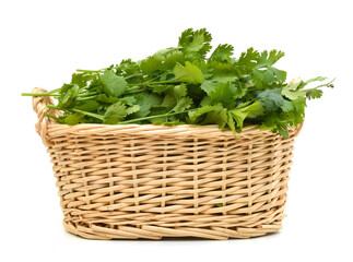 Naklejka premium green leaves of parsley in basket isolated on white background