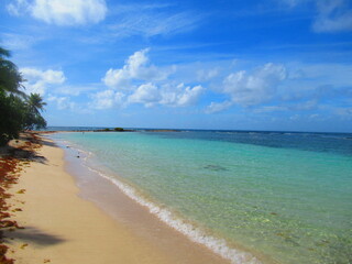 Fototapeta na wymiar La plage de sable blanc et la paradisiaque mer turquoise