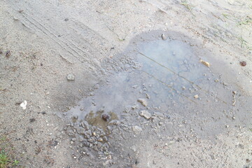 puddles after rain on a summer day in the village