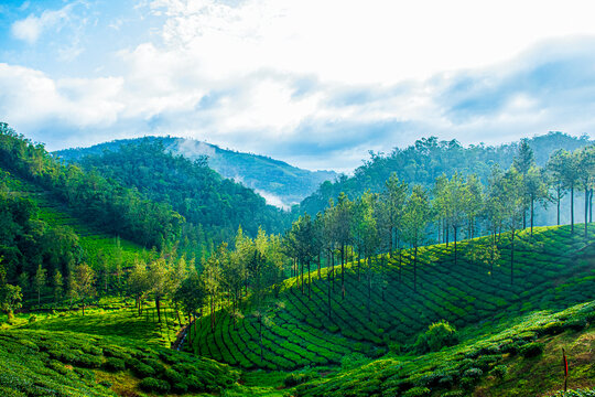 Landscape from Thekkady, a location in Idduki District of Kerela, India