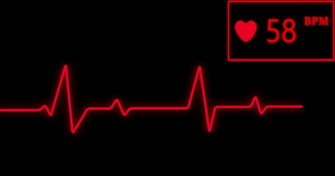 4k Heart beat animation with heart rate meter. 4k seamless loop animation.

