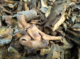 some cassava skin that is still wet