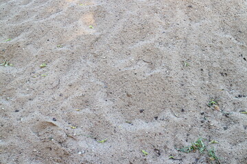 Mud, dried puddles on a sandy road