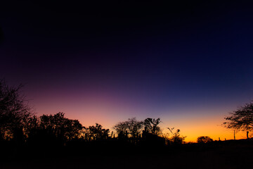 Fototapeta premium Entardecer