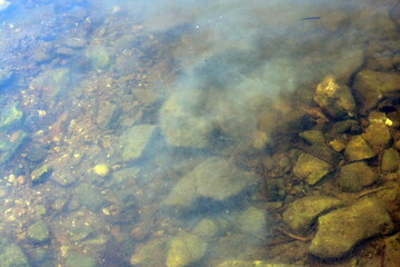 Fototapeta na wymiar stone bottom in summer on the river