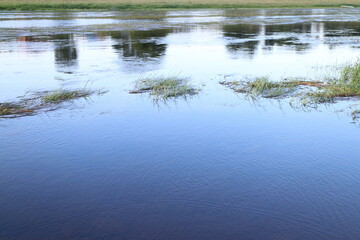 In the summer, a river overgrown with grass in the village