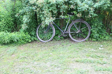 Fototapeta premium Old bike by the fence in the village