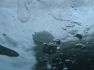 Unter Wasser