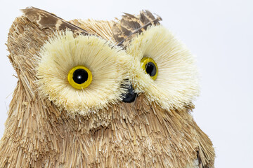 eyes of the owl