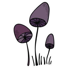 Poisonous mushrooms. Vector image