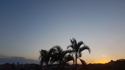 Fototapeta na wymiar palm trees at sunset