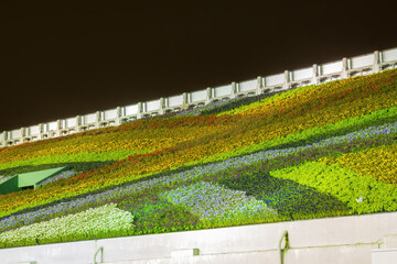 Night view of many flower blossom