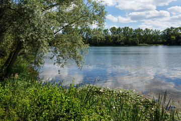 Naherholungsgebiet Zielfinger Seen bei Rulfingen, Stadt Mengen