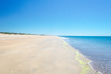 Paradise and lonely white sand beach with blue sky on the Spanish coast. Donana, Huelva, Andalusia, Spain
