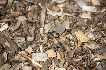 Background from pieces of tree bark is close