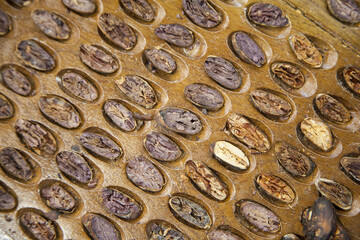 
classification of almonds for chocolate making