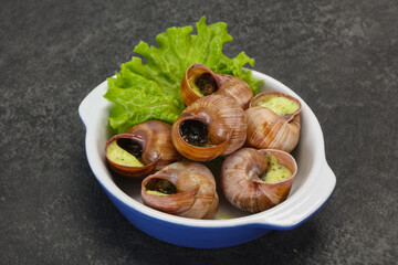 French cuisine - Escargot with sauce