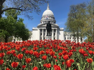 the capitol building in Madison, wi