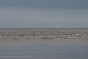 seagulls on the beach