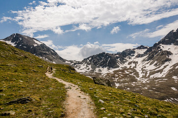 Fototapeta premium Lej Muragl, Muottas Muragl, Val Muragl, Piz Muragl, Wanderweg, Wanderer, Ova da Muragl, Alp Languard, Oberengadin, Engadin, Alpen, Graubünden, Sommer, Schweiz