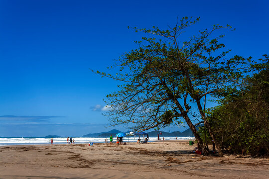 Praia De Itamambuca IMG_3754