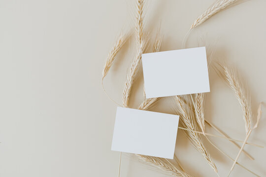 Blank paper business cards with mockup copy space on rye, wheat stalks on beige background. Minimal business template. Flatlay, top view.