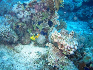 Unter Wasser
