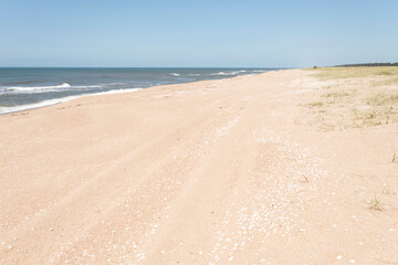 Fototapeta na wymiar Summer landscape, lonely beach on the coast of Rocha, Uruguay