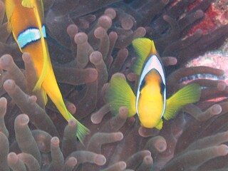 Unter Wasser