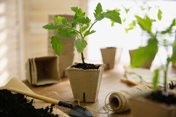 Soil, gardening trowel, rope and green tomato seedling in peat pot on wooden table