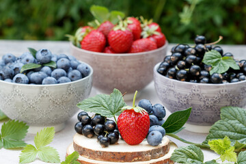 frische Beeren in Schälchen Blaubeeren, schwarze Johannisbeeren, Erdbeeren