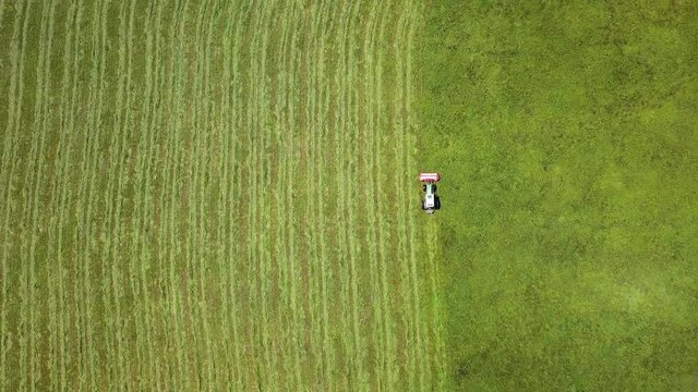 Trattore rigira l'erba nel prato per fieno al sole
