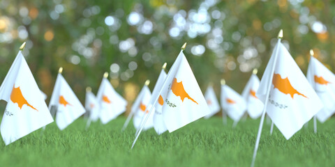 Flags of Cyprus in the grass. National holiday related 3D rendering
