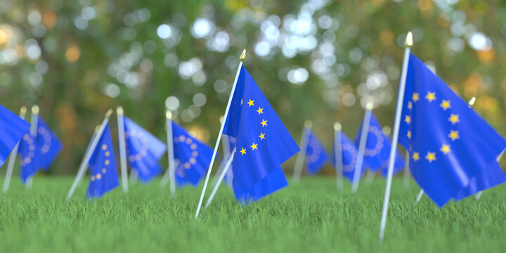 Flags of the European Union in the grass. Holiday related 3D rendering