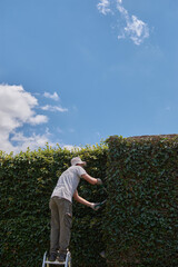 Man pruning a green wall
