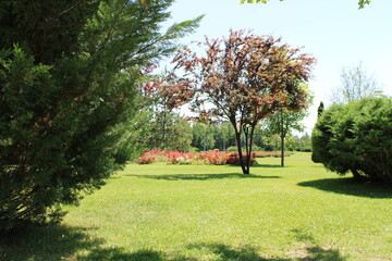 NationalPark, Park,
landscape, 
japanese garden, garden
