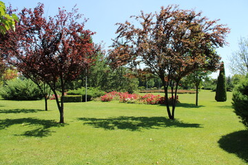NationalPark, Park,
landscape, 
japanese garden, garden